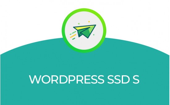 WORDPRESS SSD S